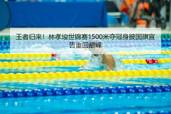 wang-zhe-gui-lai-lin-xiao-jun-shi-jin-sai-mi-duo-guan-shen-pi-guo-qi-xuan-gao-zhong-hui-dian-feng-2-223.jpg